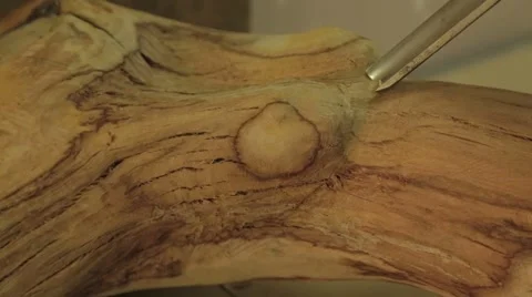 Wooden Sculptor working in studio Vidéo 42007691