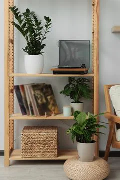 Wooden shelving unit with turntable, vinyl records and beautiful houseplants  Stock Photos