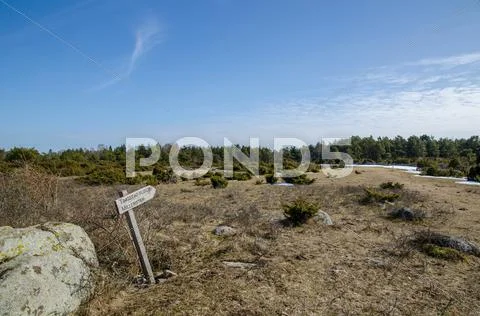 Wooden sign at a trail into wilderness Stock Photos