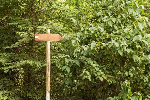 Wooden signs with empty space for notes, wooden signs indicating the direction Stock Photos