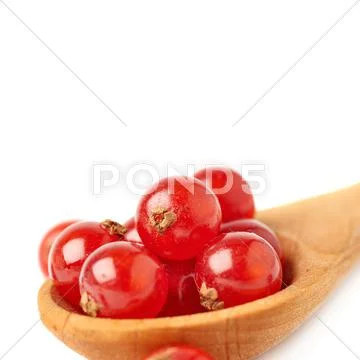 Wooden spoon filled with Red Currant isolated over white background Stock Photos