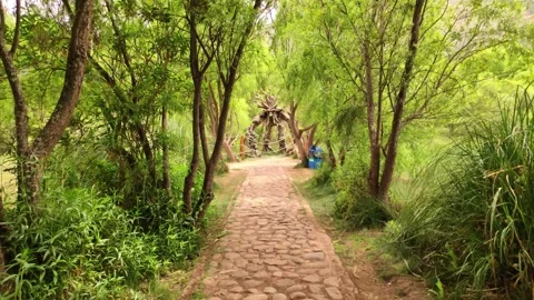 Wooden statue of a tree-man in a park near Cusco, Peru Stock Footage 288167341