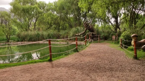 Wooden statues of marvel characters "Groot" near Cusco, Peru 動画素材 288164939