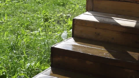 Wooden step Video stock 24739312