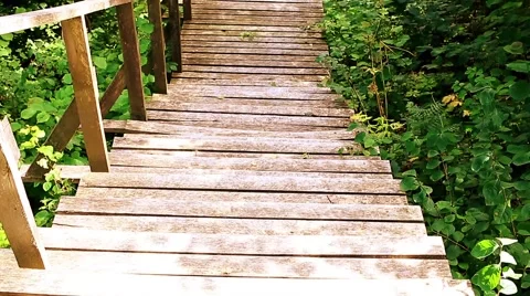 Wooden Steps In The Forest Stock Footage 66426764