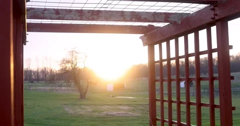 Wooden structure for Creeper plants to grow against sunset . Stock Footage 240141355