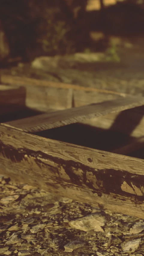 Wooden structure on ground with rocks and dim light near trees Stock Footage 331704222