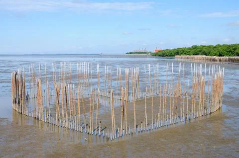 Wooden Structure on a Mudflat Stock Photos