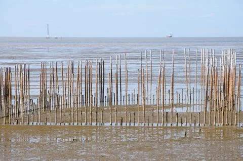 Wooden Structure on a Mudflat Stock Photos