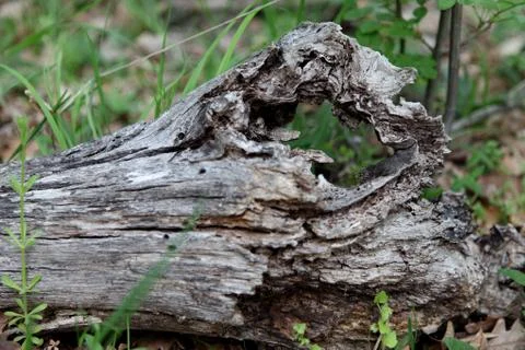 Wooden structure Stock Photos