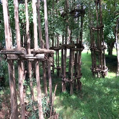 Wooden structure to protect the trees from the hurricane Stock Footage 69513064