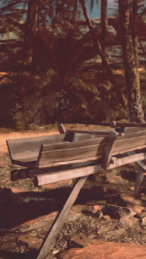 Wooden structure on a sandy path near tropical plants in bright daylight Stock Footage 342193228