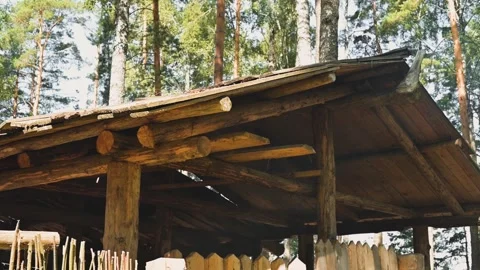 A wooden structure is shown from various angles beneath the trees in a forest Stock Footage 345029844