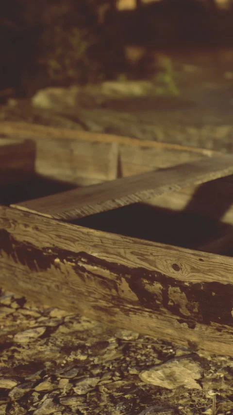 Wooden structure sits on ground during evening light near forest edge Stock Footage 331760715