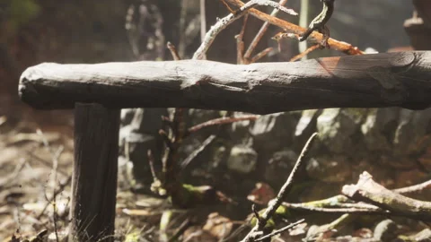 Wooden structure sits on ground surrounded by natural elements in forest Stock Footage 339454789
