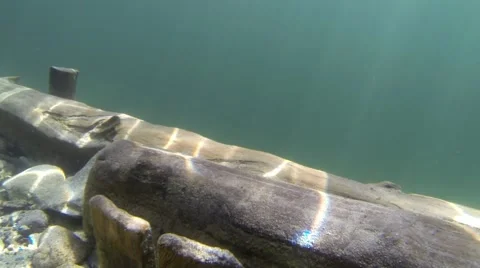 Wooden structures in the bottom of a lake Stock Footage 55213370