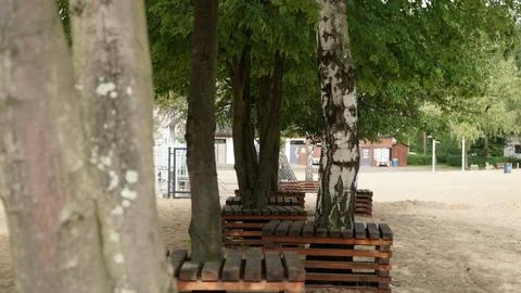 Wooden Structures Surrounding Trees, Serving as Benches or Tables Stock Photos
