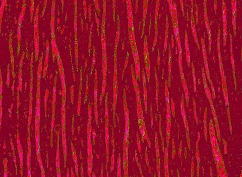 Wooden surface as background texture Stock Photos
