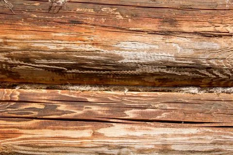 Wooden surface as background texture with rays of light. Stock Photos