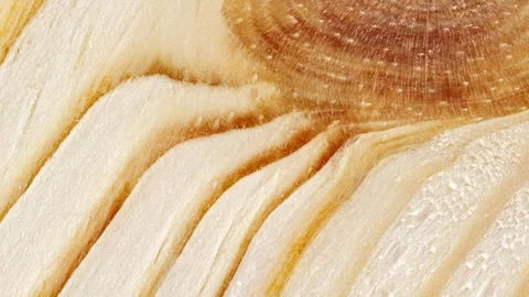 Wooden surface, close-up structure processed 스톡 동영상 245520636