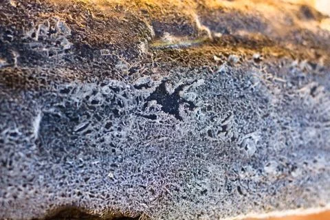 The wooden surface is covered with a thick layer of ice. Stock Photos