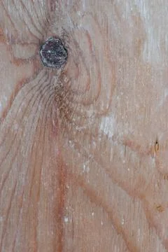 Wooden surface Stock Photos