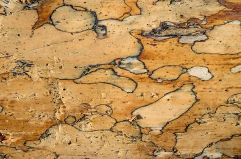 Wooden surface Stock Photos