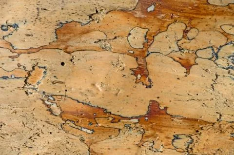 Wooden surface 写真素材