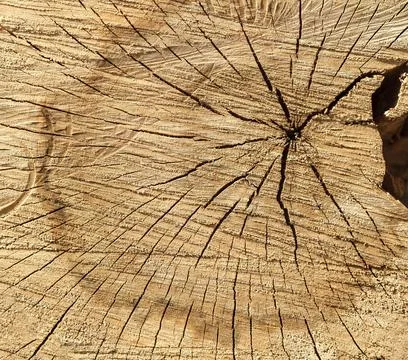 Wooden surface Stock Photos