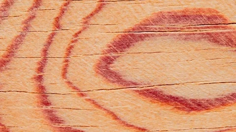 Wooden surface polished board, structure of tree Stock-Footage 243991963