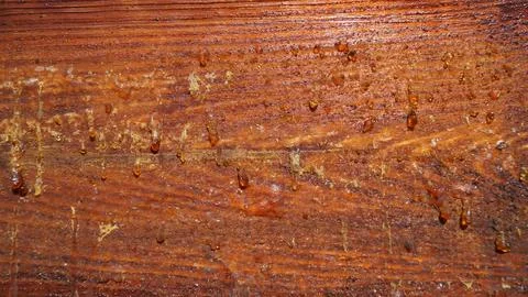 Wooden Surface with Resin Droplets Stock Photos