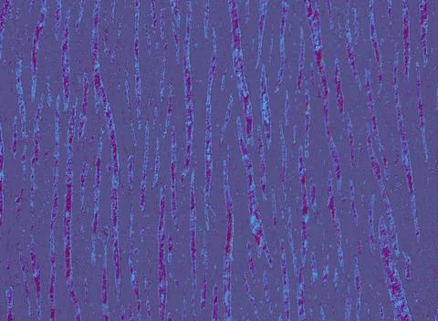 Wooden surface as a solid background texture Stock Photos