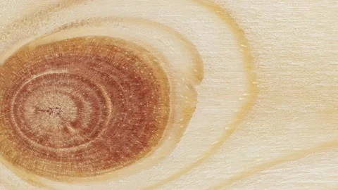 Wooden surface, structure processed with traces of oval knots 库存影片 246851594