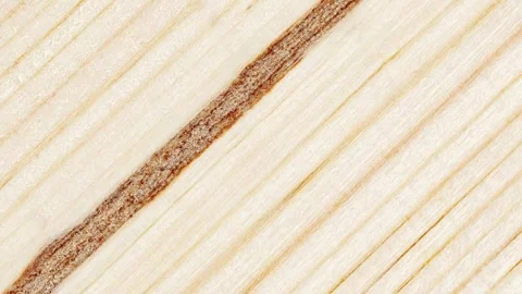 Wooden surface, structure, thick wood fiber, with horizontal parallel strip.. 動画素材 256325178