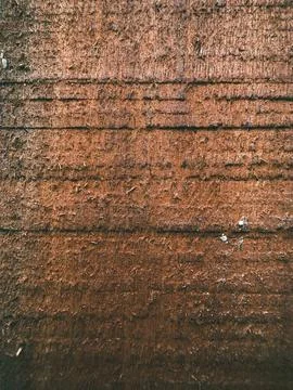 Wooden Surface Texture Background Stock Photos