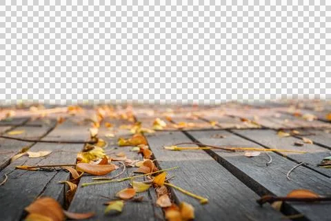 Wooden surface with yellow leaves isolate Stock Photos