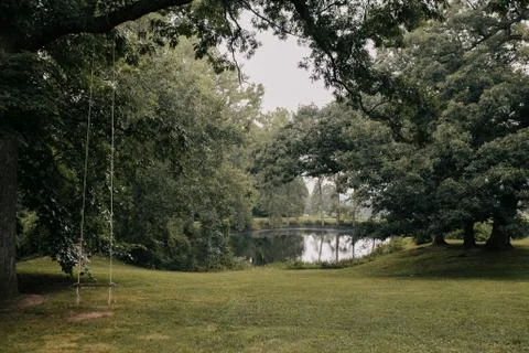 Wooden Swing Hanging from tree overlooking pond Stock Photos