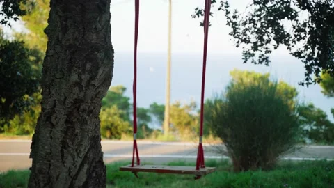 A wooden swing sways on a tree. Swing in the green garden. Summer games in the Stock Footage 134516778