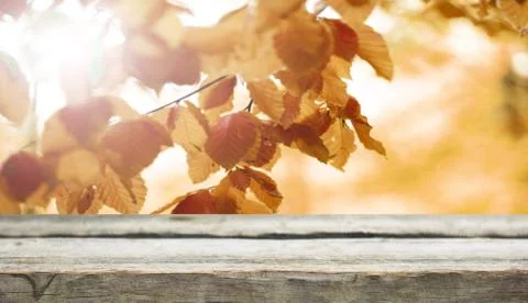 Wooden table background Stock Photos