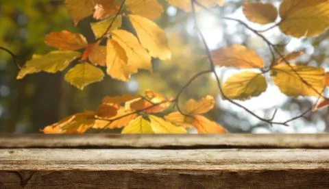 Wooden table background Stock Photos