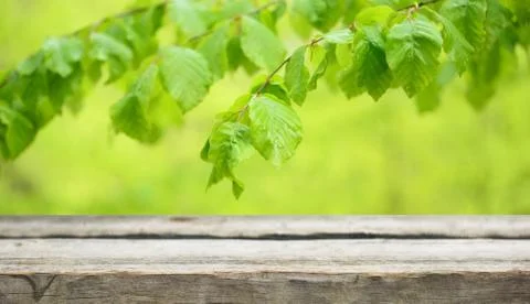 Wooden table background Stock Photos