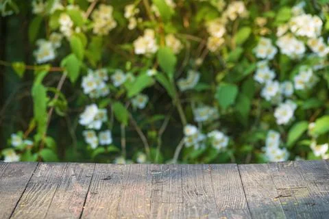 Wooden table background Stock-Fotos