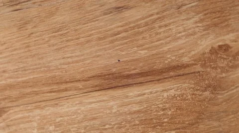 Wooden table, with a black dot in the middle Stock Footage 42790411