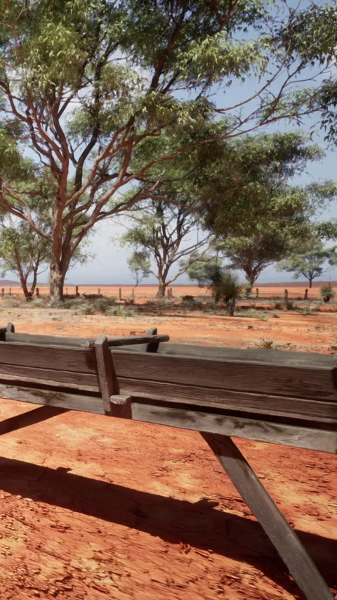 Wooden table in an outdoor setting with trees and dirt ground Stock Footage 337951418