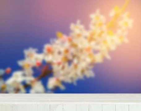 Wooden table Stock Photos