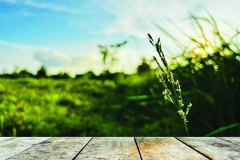 Wooden table Stock Photos