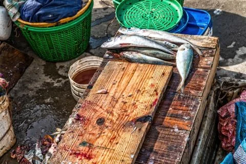 A wooden table for processing and preparing freshly caught fish. Stock Photos