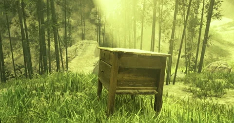 Wooden table in a serene forest clearing surrounded by tall greenery Video stock 313782409