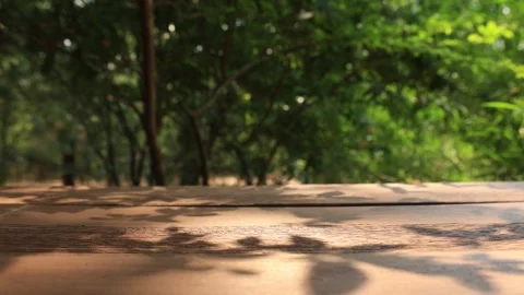 Wooden table with shadow leaf background Stock Footage 272573705