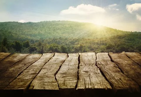 Wooden table. Spring design with pine forest and empty display. Space for you Stock Photos